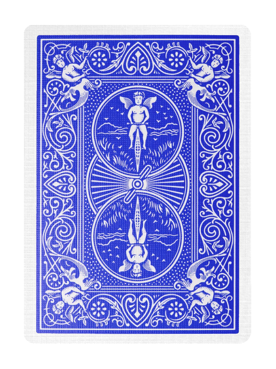 BICYCLE RIDER BACKS (BLUE)