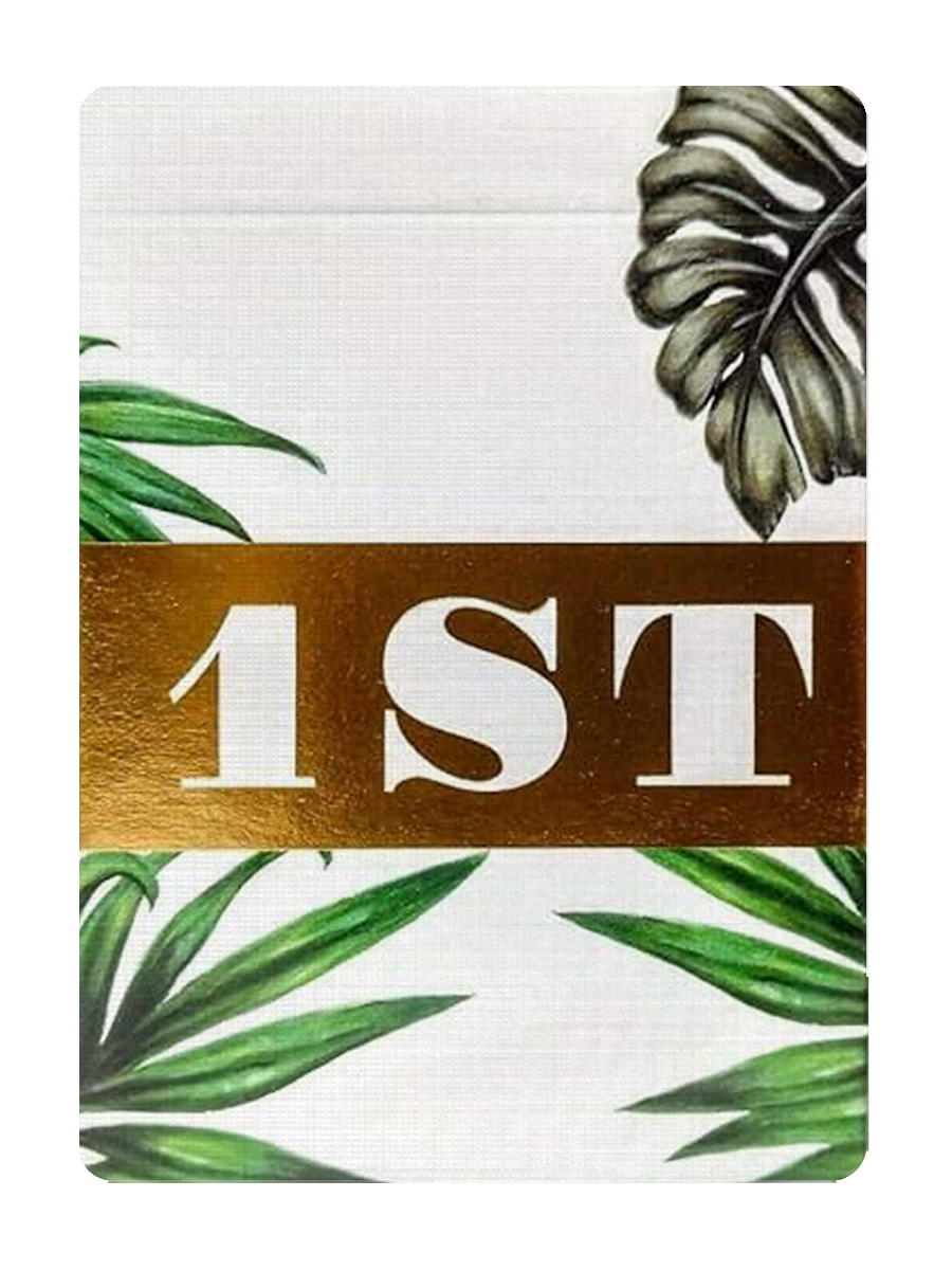 1ST PLAYING CARDS - V3