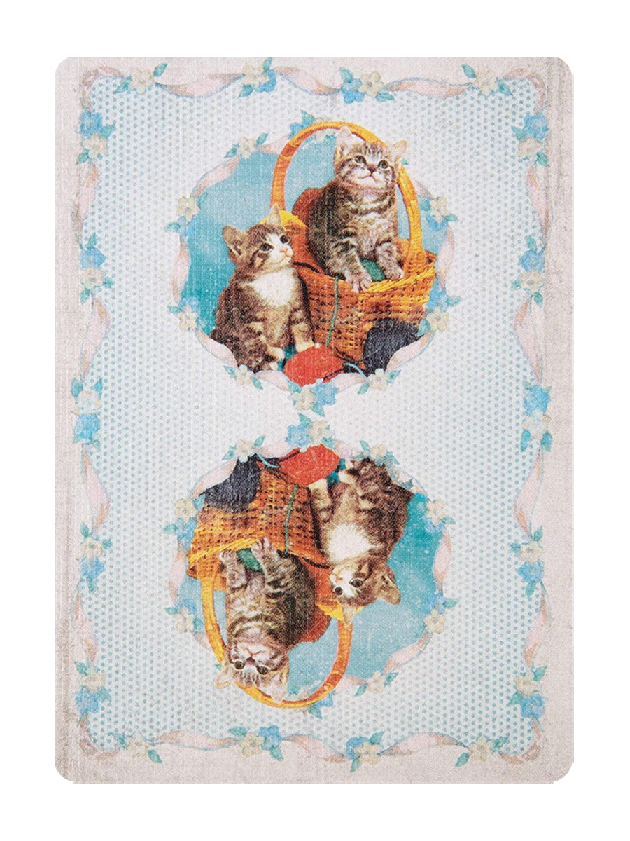 MADISON KITTENS Playing Cards ( BLUE )