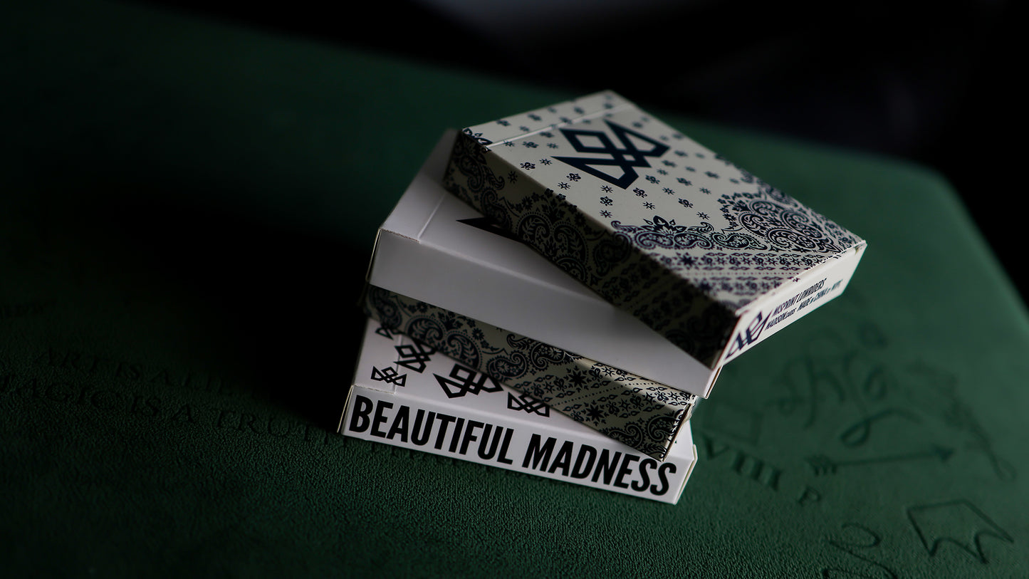The LOWRIDER MADNESS COLLECTION