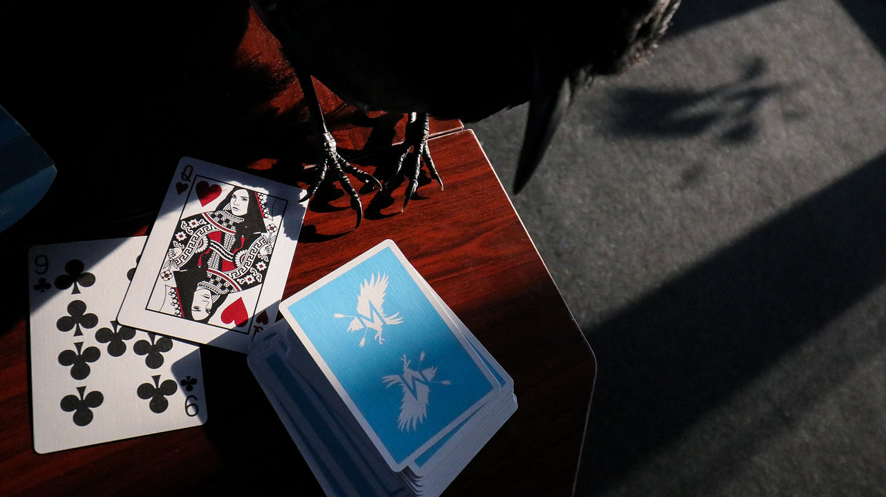 SKY ADVOCATES Playing Cards (Seconds) playing cards — view 5