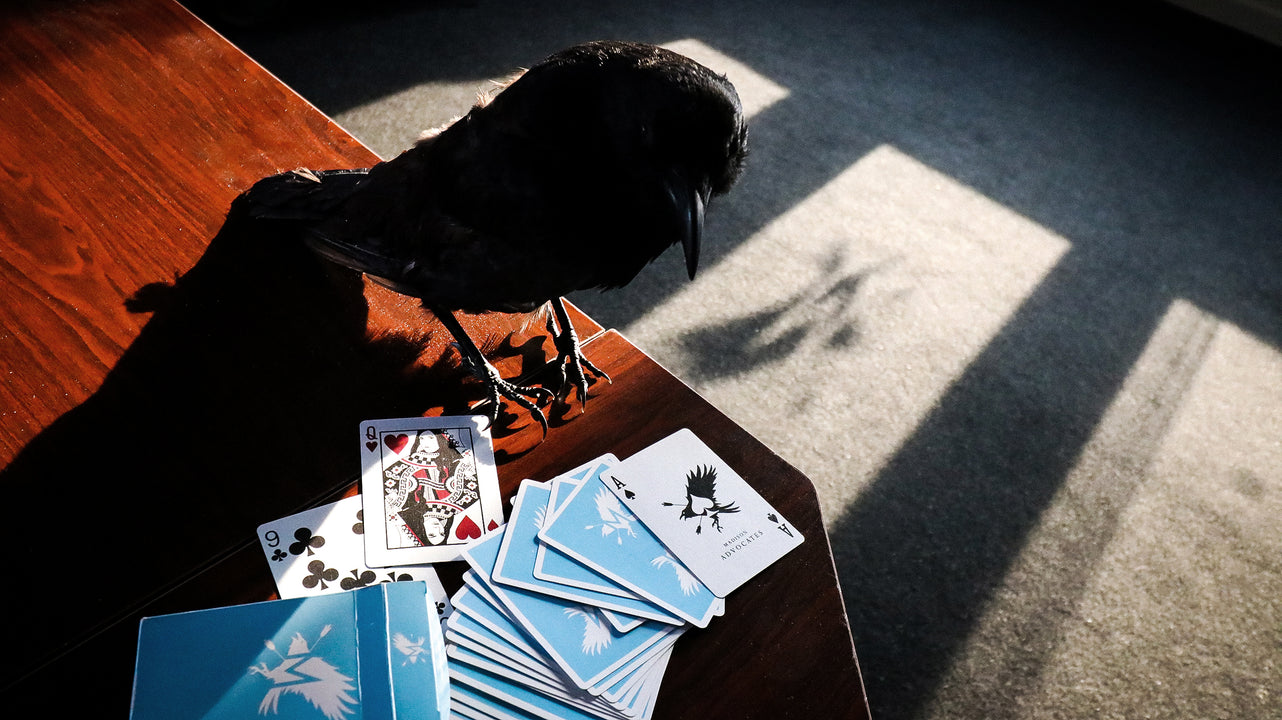 SKY ADVOCATES Playing Cards (Seconds) playing cards — view 10