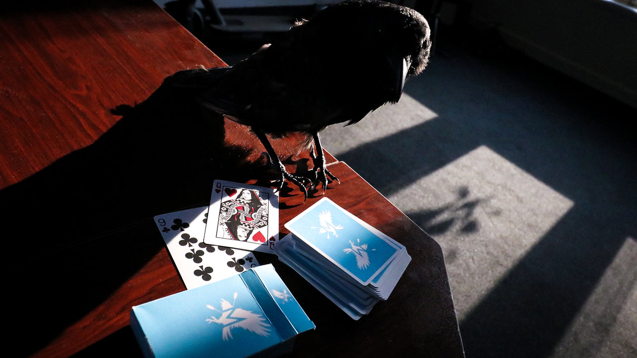 SKY ADVOCATES Playing Cards (Seconds) playing cards — view 8