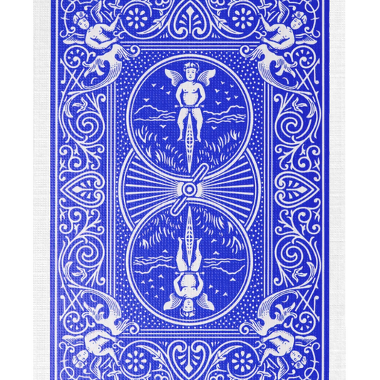 USPCC 3 BRICK MEGA BUNDLE (36 Decks) playing cards — view 3