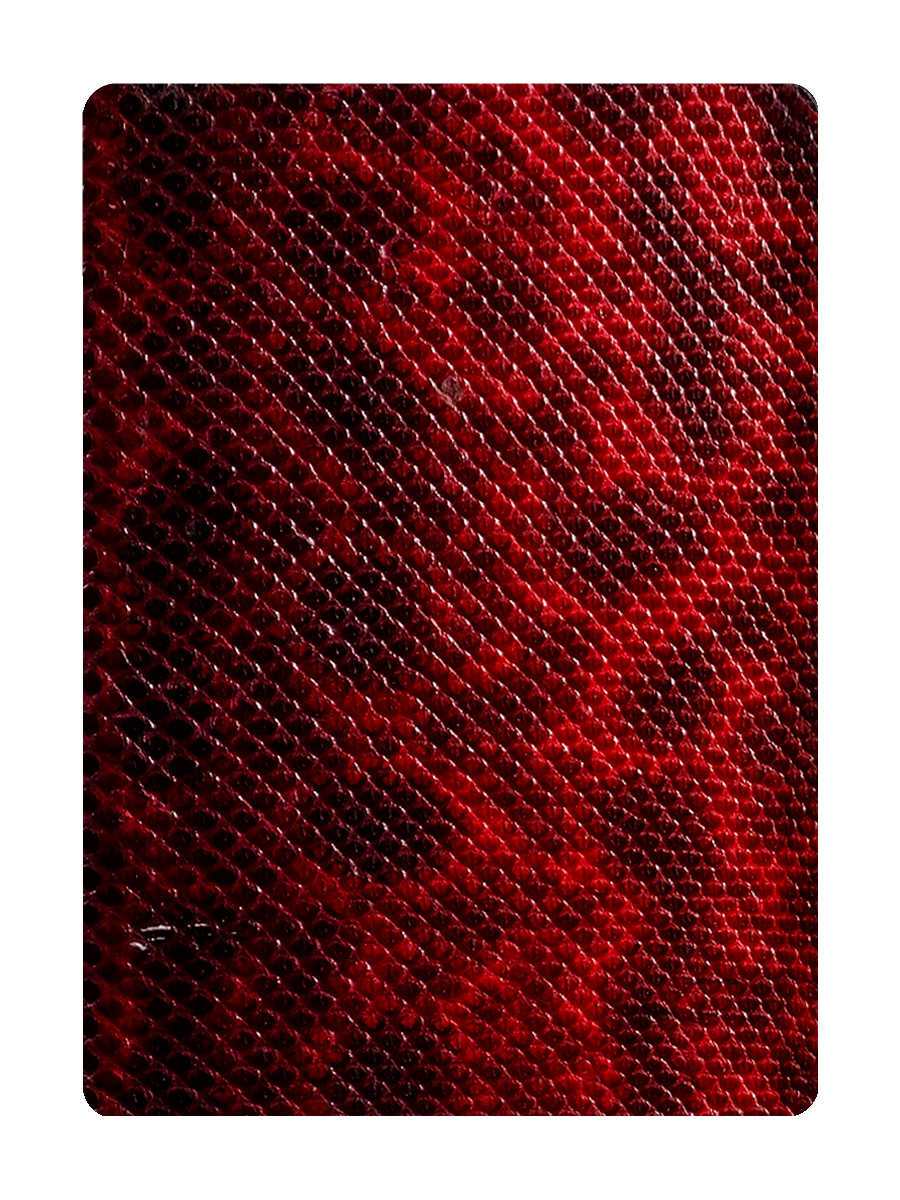 RED / BLACK Reptile Card Clip