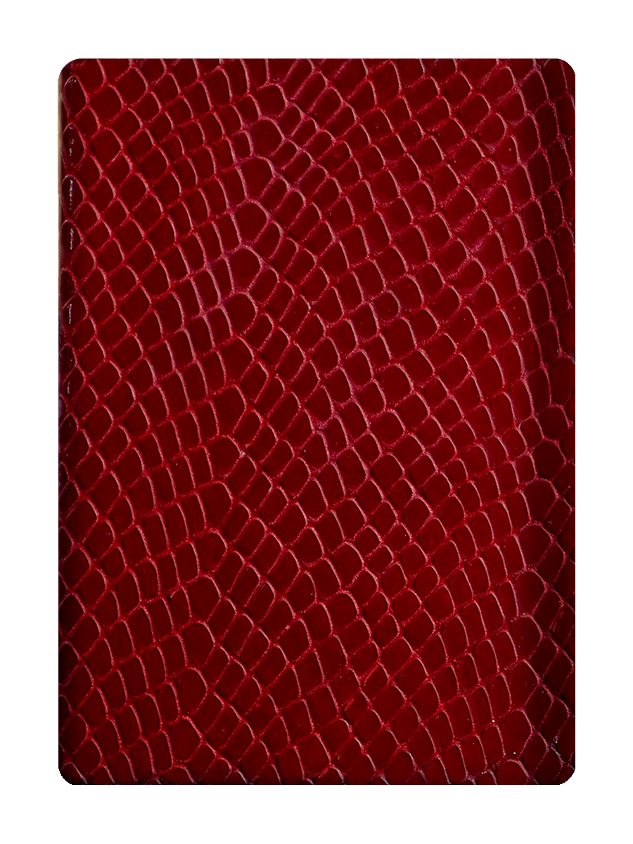 RED Snakeskin x Silver Card Clip