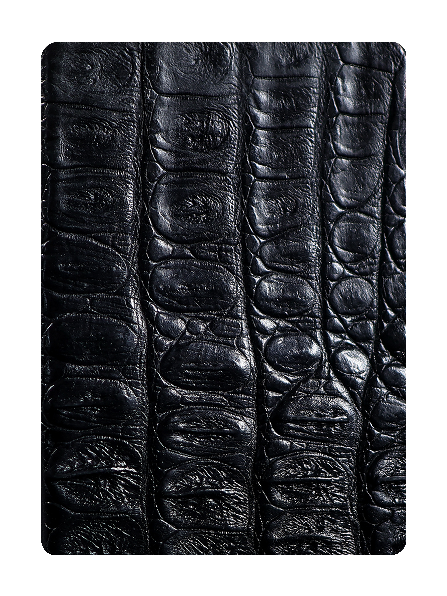 Original GATOR Card Clip