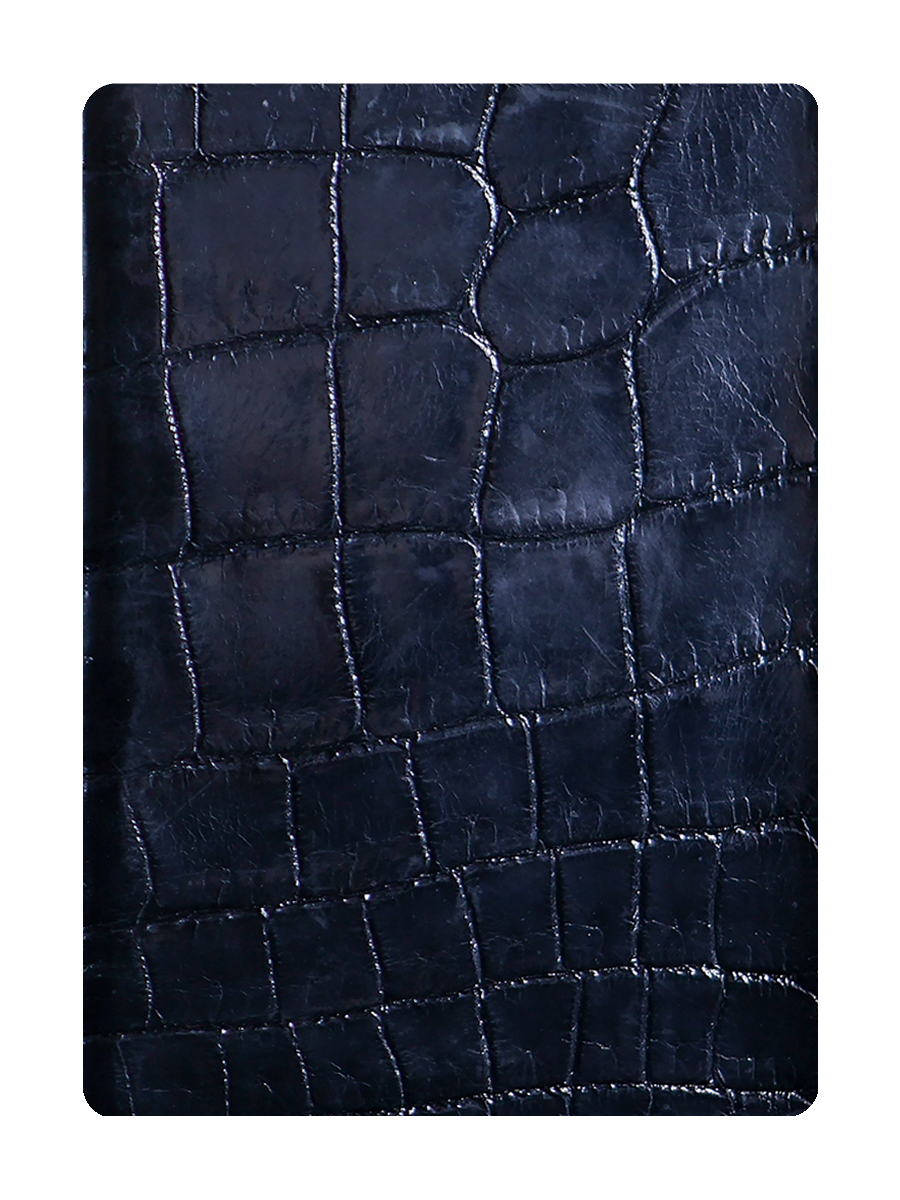 CROC Carbon Fibre Card Clip