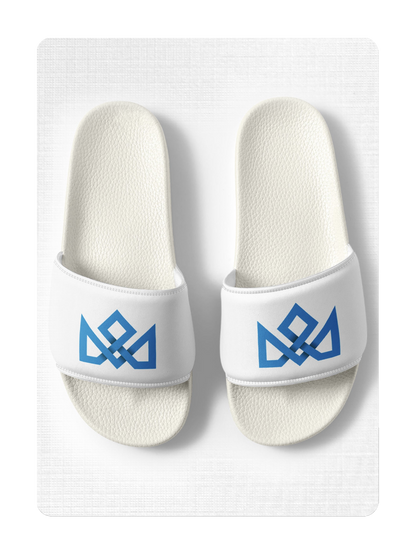 The MAD DECK Slides