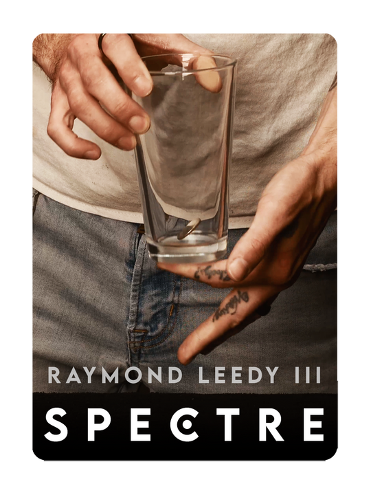 SPECTRE by Raymond Leedy III playing cards