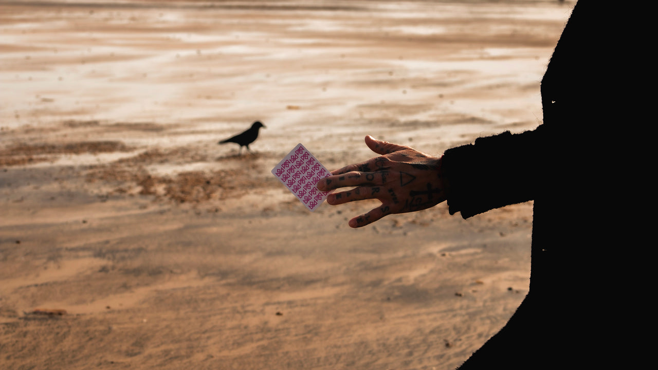 PINK CHARLATANS - BRICK OFFER (12 Decks) playing cards — view 17