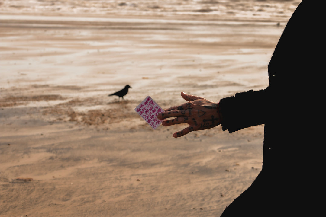 PINK CHARLATANS - BRICK OFFER (12 Decks) playing cards — view 26