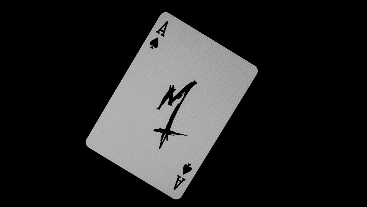 MADISON SIGNATURE Playing Cards - Brick Deal (12 decks) playing cards — view 13