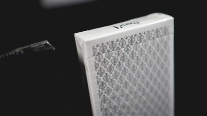 HOLO LIONS by DAVID BLAINE
