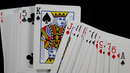 HOLO LIONS by DAVID BLAINE