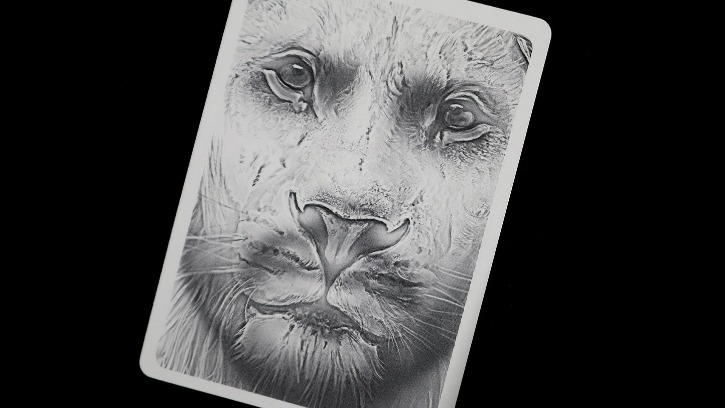 HOLO LIONS by DAVID BLAINE