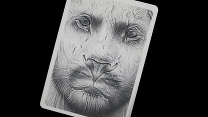 HOLO LIONS by DAVID BLAINE