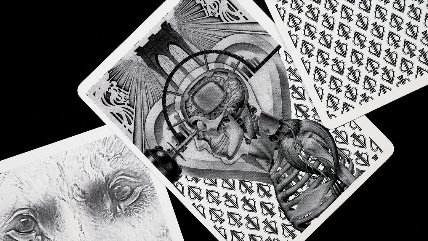 HOLO LIONS by DAVID BLAINE
