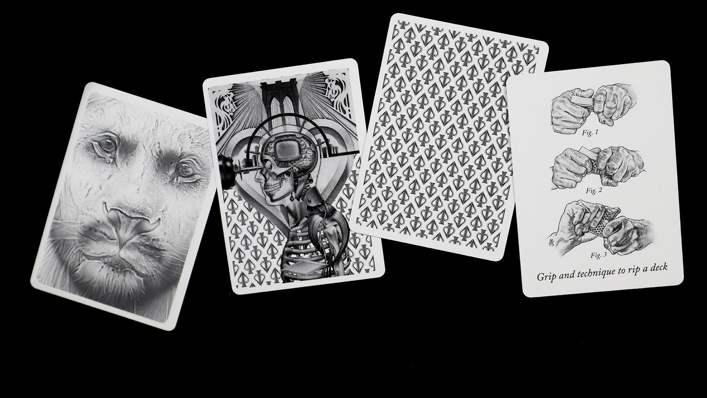 HOLO LIONS by DAVID BLAINE