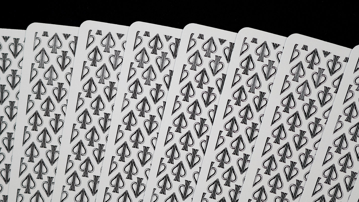 HOLO LIONS by DAVID BLAINE