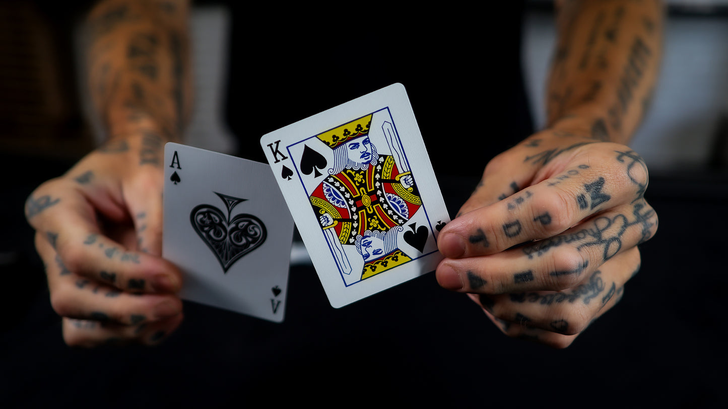 HOLO LIONS by DAVID BLAINE