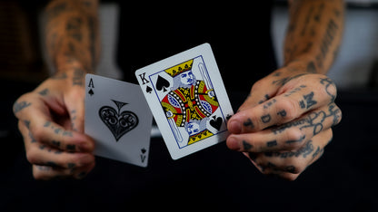 HOLO LIONS by DAVID BLAINE