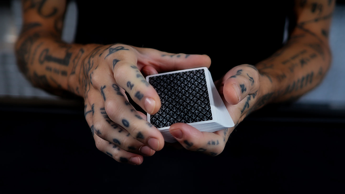 HOLO LIONS SIGNED SET by DAVID BLAINE
