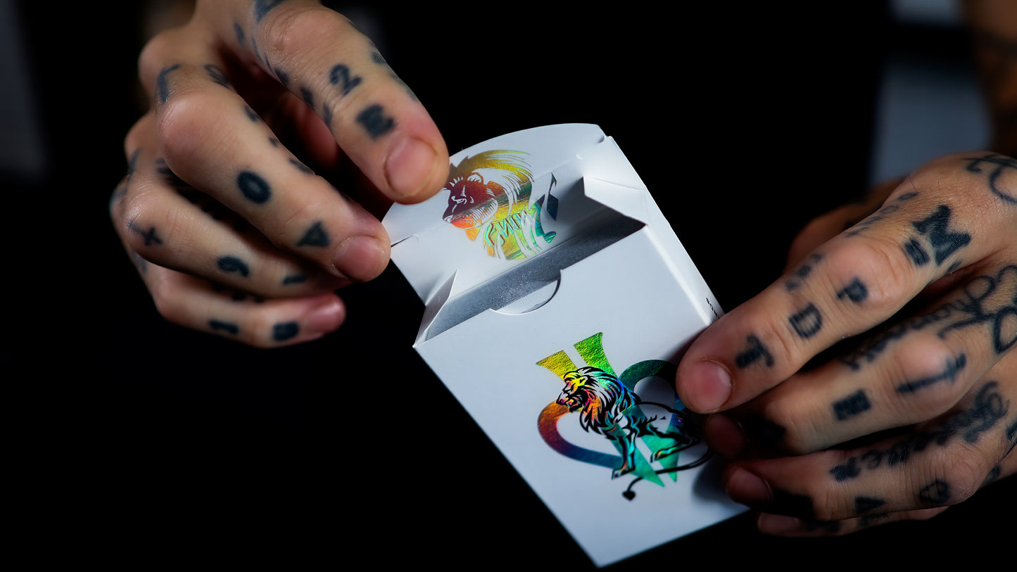 HOLO LIONS by DAVID BLAINE