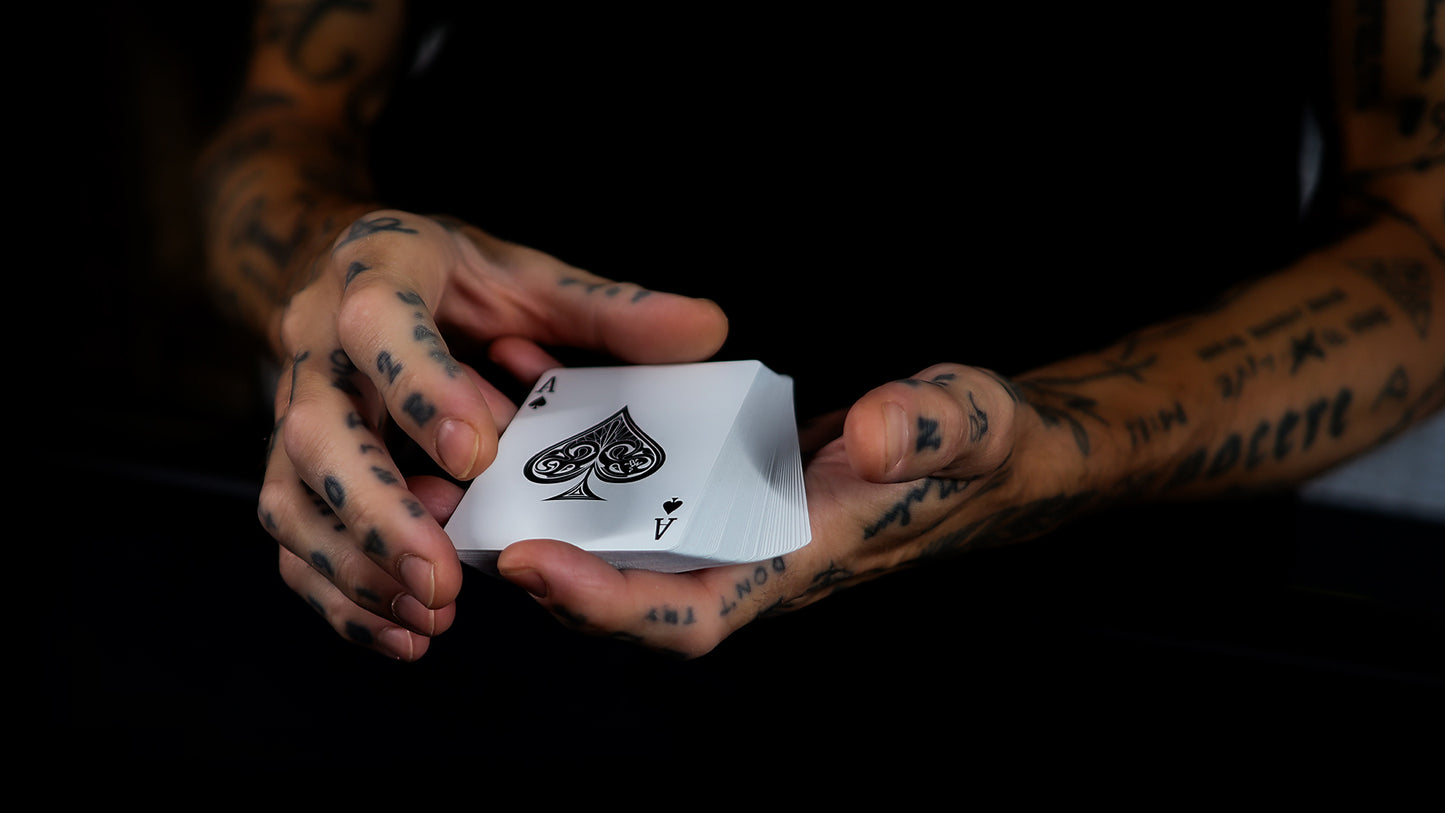 HOLO LIONS by DAVID BLAINE