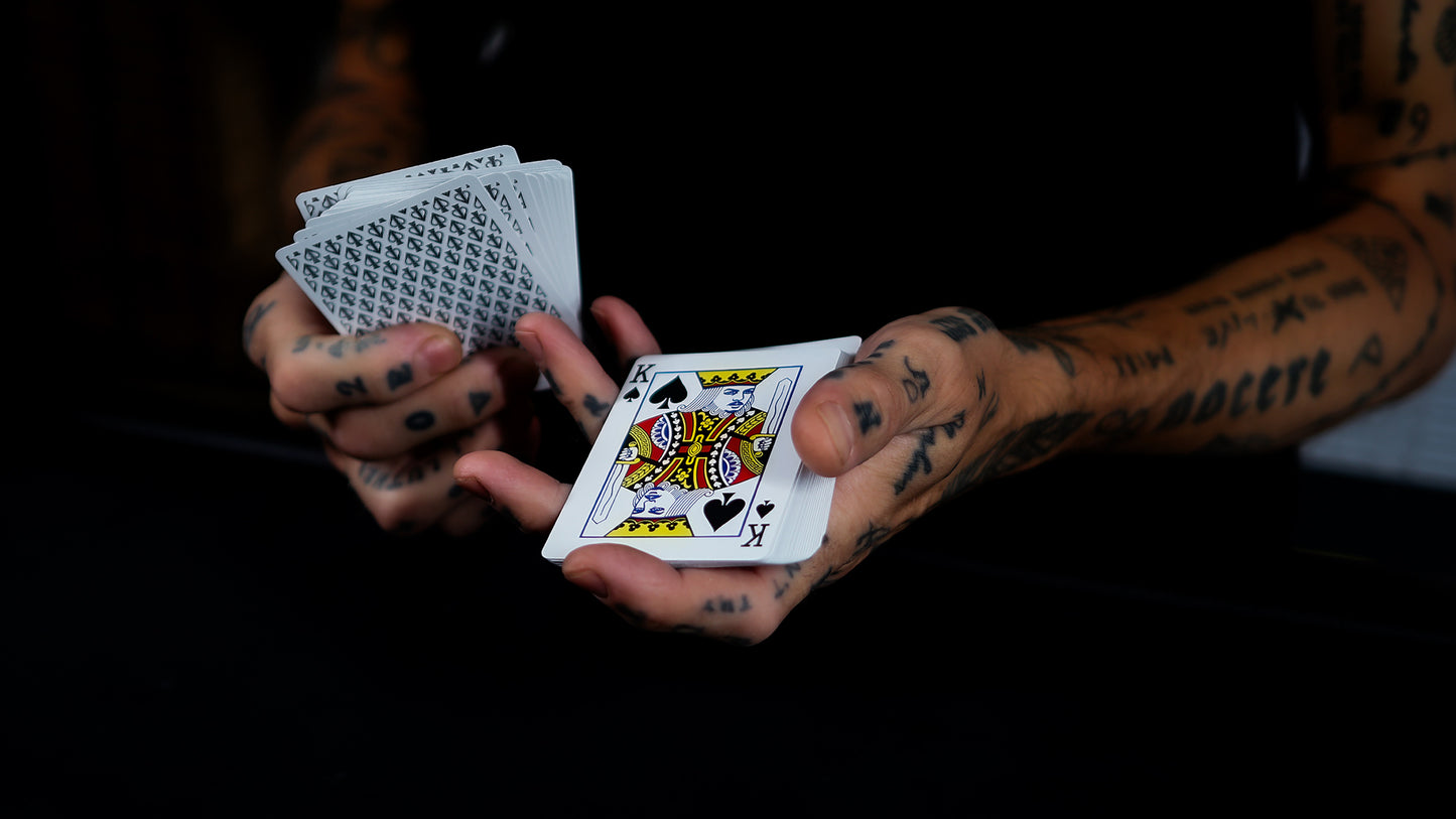 HOLO LIONS by DAVID BLAINE
