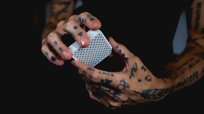 HOLO LIONS by DAVID BLAINE