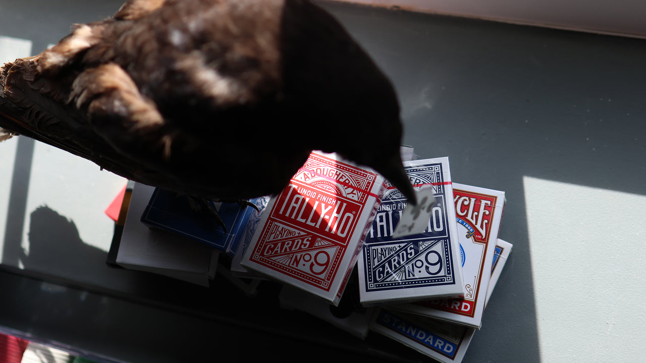 TALLY HO Circle Back Playing Cards (RED) playing cards — view 2