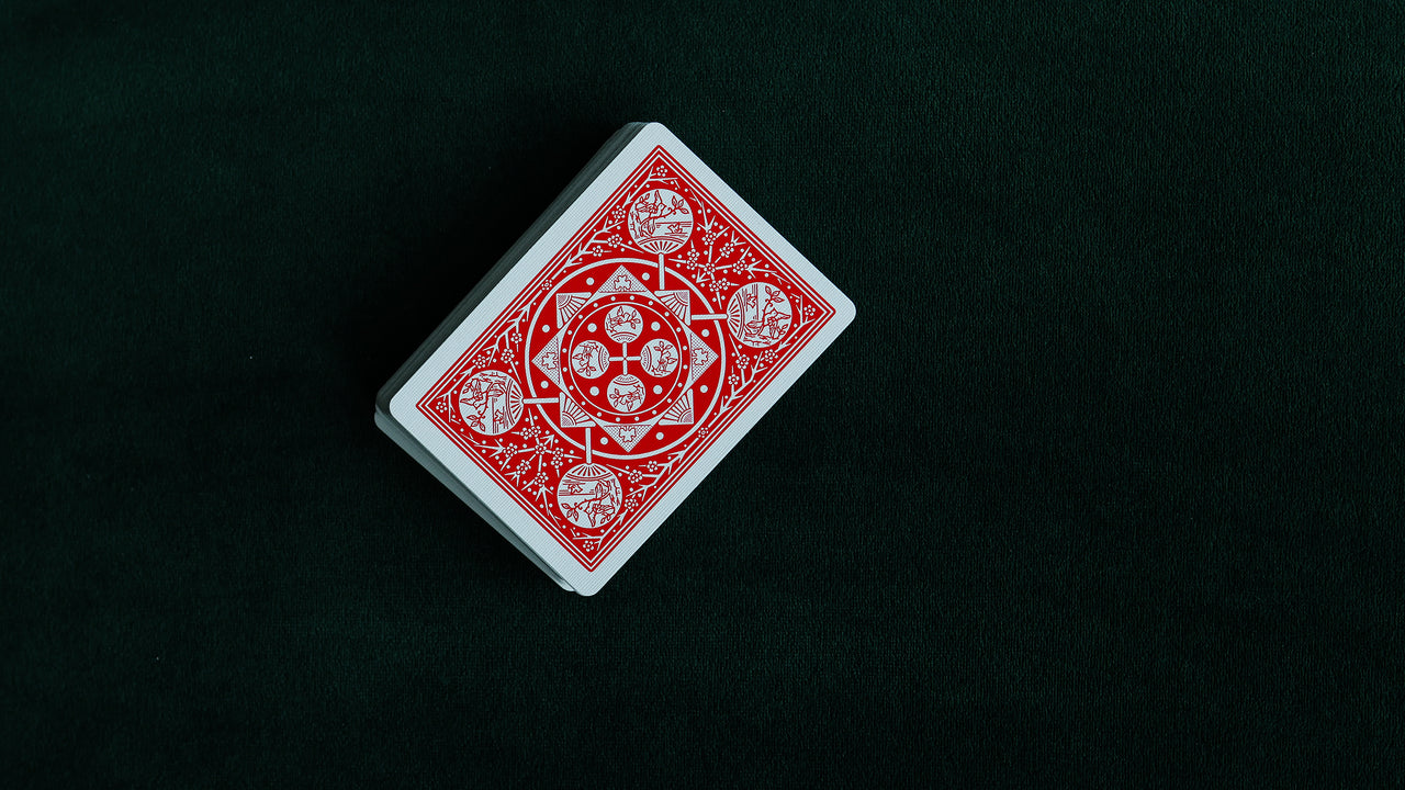 TALLY-HO Fan Back SLEIGHTS - MIXED BRICK (12 Decks) playing cards — view 10