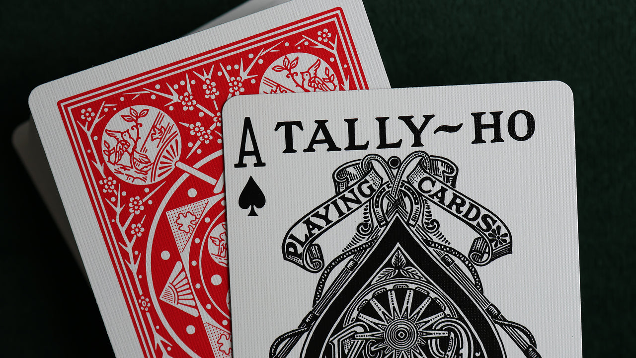 TALLY-HO Fan Back SLEIGHTS - MIXED BRICK (12 Decks) playing cards — view 17