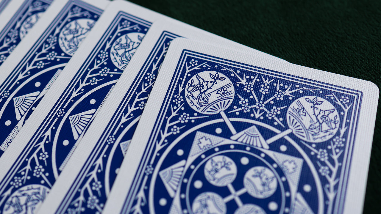 TALLY-HO Fan Back SLEIGHTS - MIXED BRICK (12 Decks) playing cards — view 24