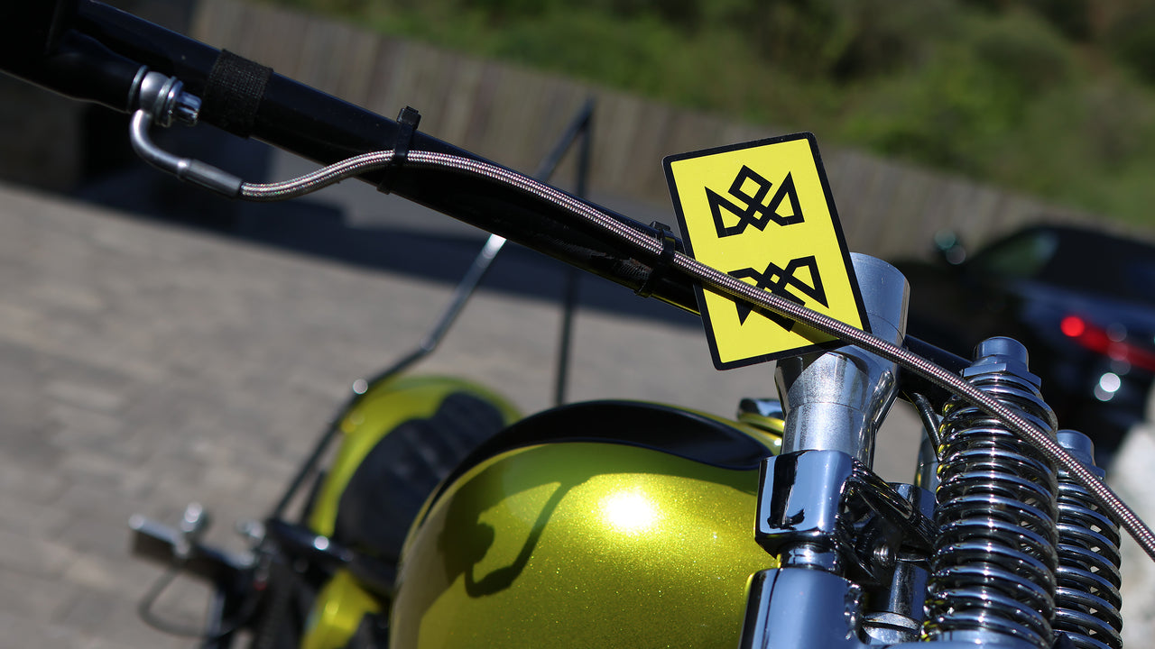 12 - MADISON ONE Entry - The YELLOW ACOLYTES playing cards — view 11