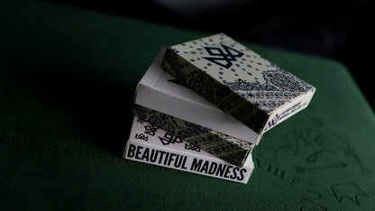 The LOWRIDER MADNESS COLLECTION