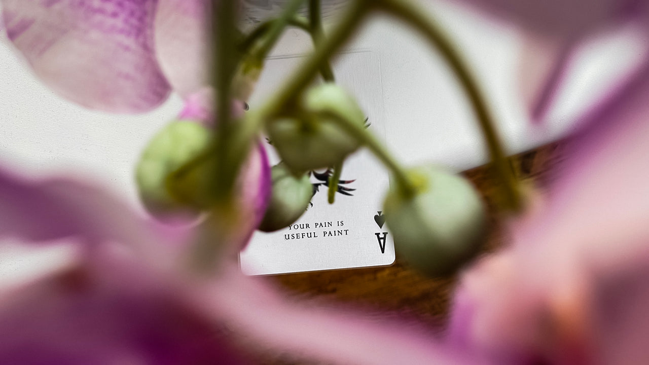 FLOURISH COLLECTION - TWO DECK SET signed by MADISON playing cards — view 19