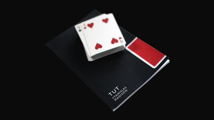 T. U. T. by Stanislas and Madison