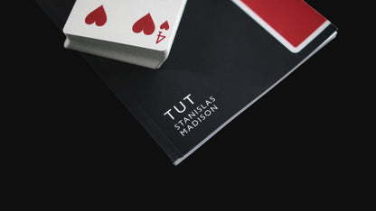 The MAD HOLDOUT Device ( + T.U.T. Printed Book )